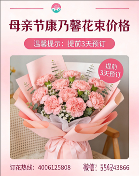 张家口涿鹿县花店母亲节康乃馨花束