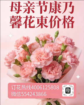 张家口涿鹿县花店母亲节康乃馨花束